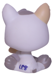 #1876 Puppy