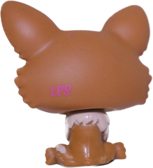 #3567 Corgi