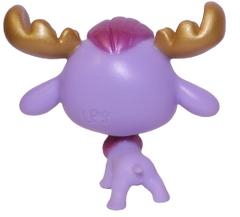 No # Moose "Cady"