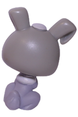 No # Rabbit