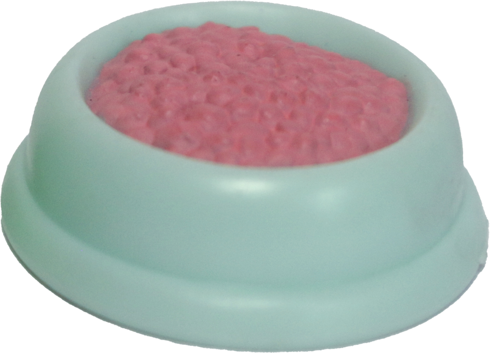 Pet Food Bowl