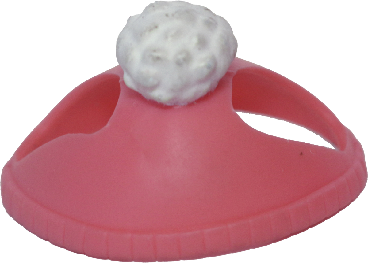Pompom Hat