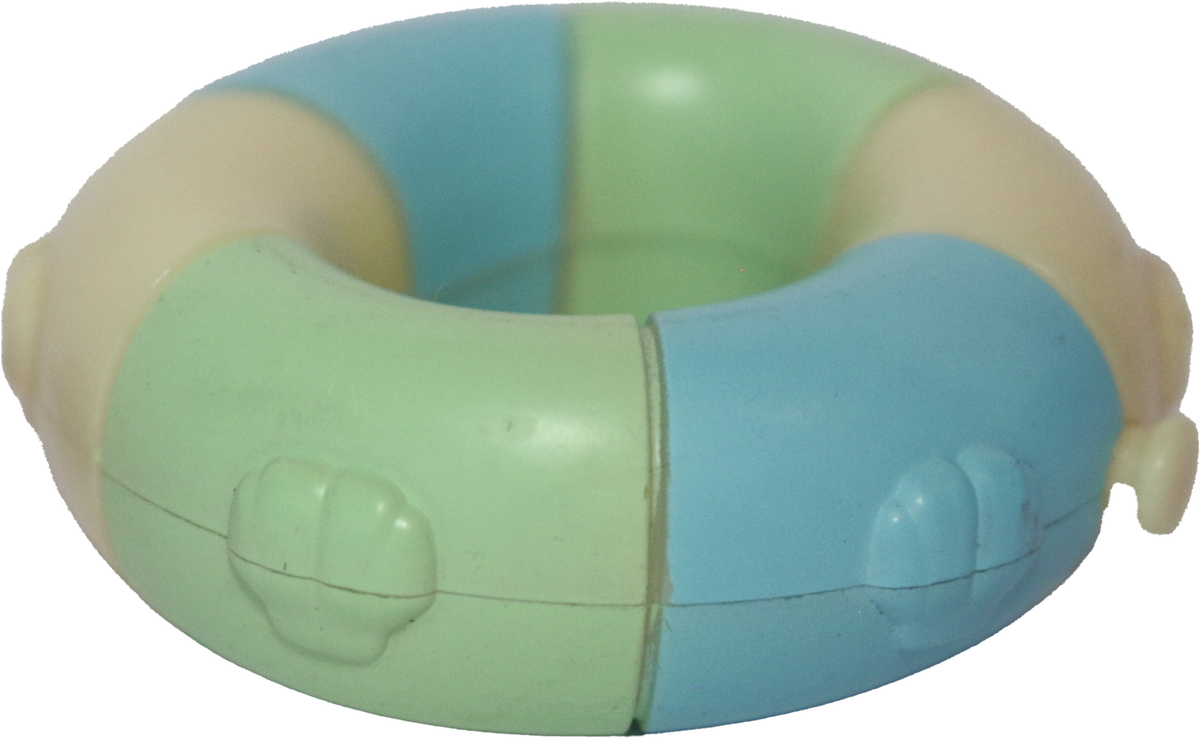 Swim Ring